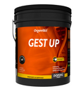 Load image into Gallery viewer, Gest UP Horse Supplement