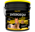 Load image into Gallery viewer, Organnact Enteroequi