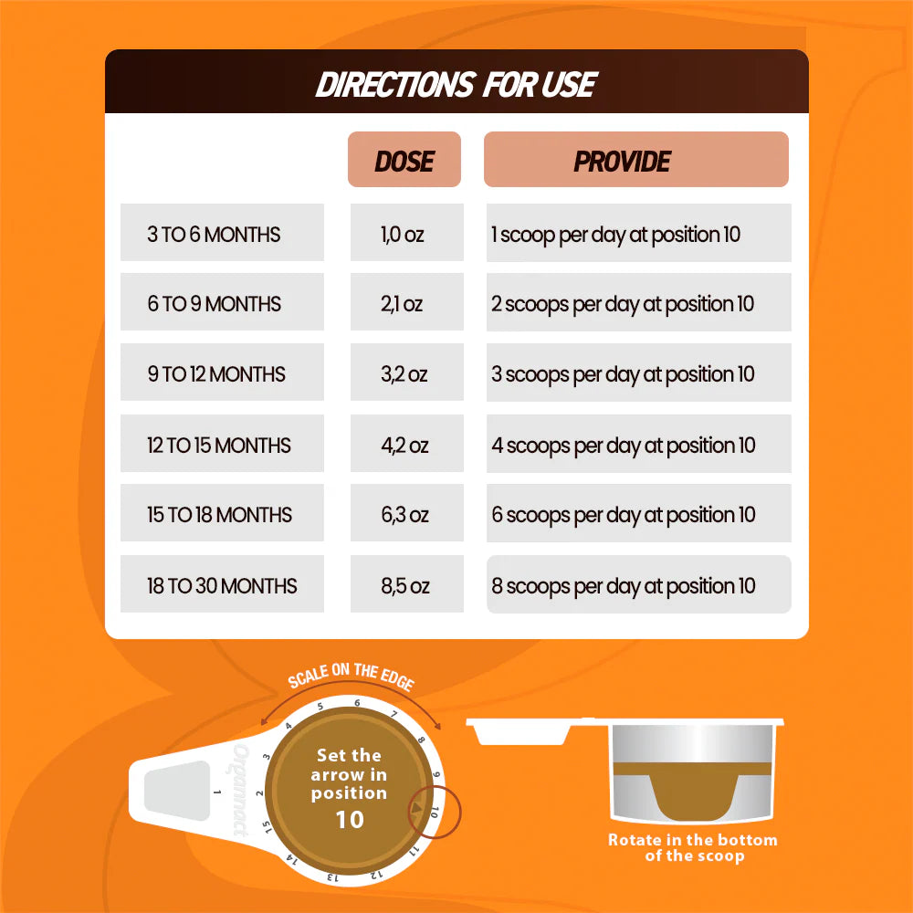Corpore Foals Horse Supplement