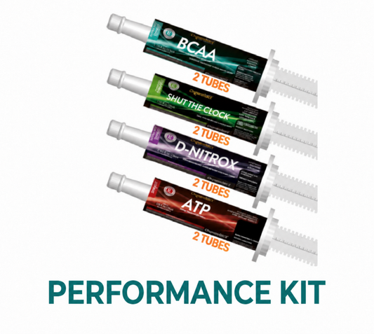 SK Performance Kit