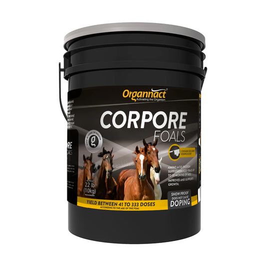 Corpore Foals Horse Supplement