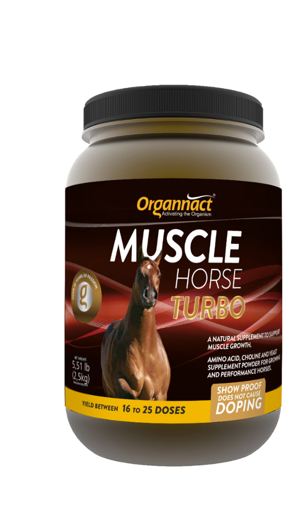 Muscle Horse Turbo – SK Equine Products