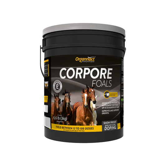 Corpore Foals Horse Supplement