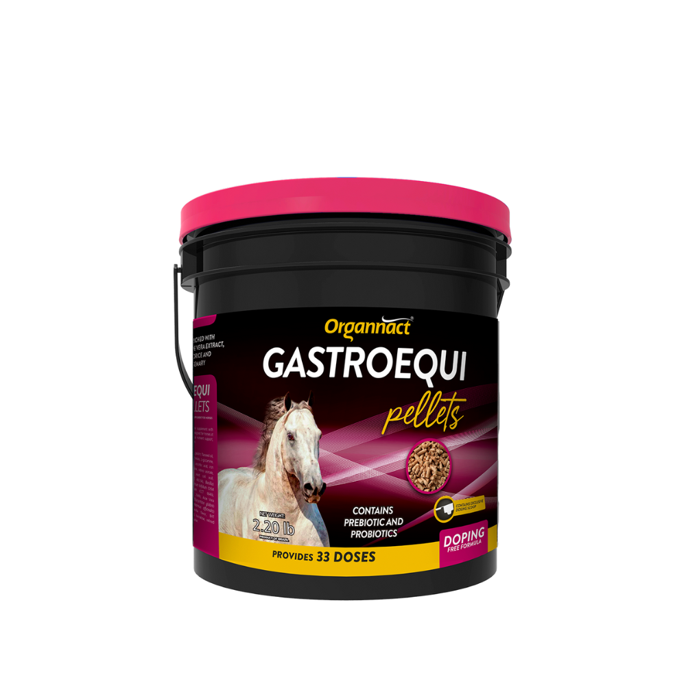 Gastroequi Pellets