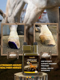Load image into Gallery viewer, Hoof & Coat Armour
