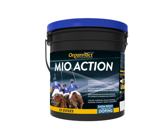 Mio Action -