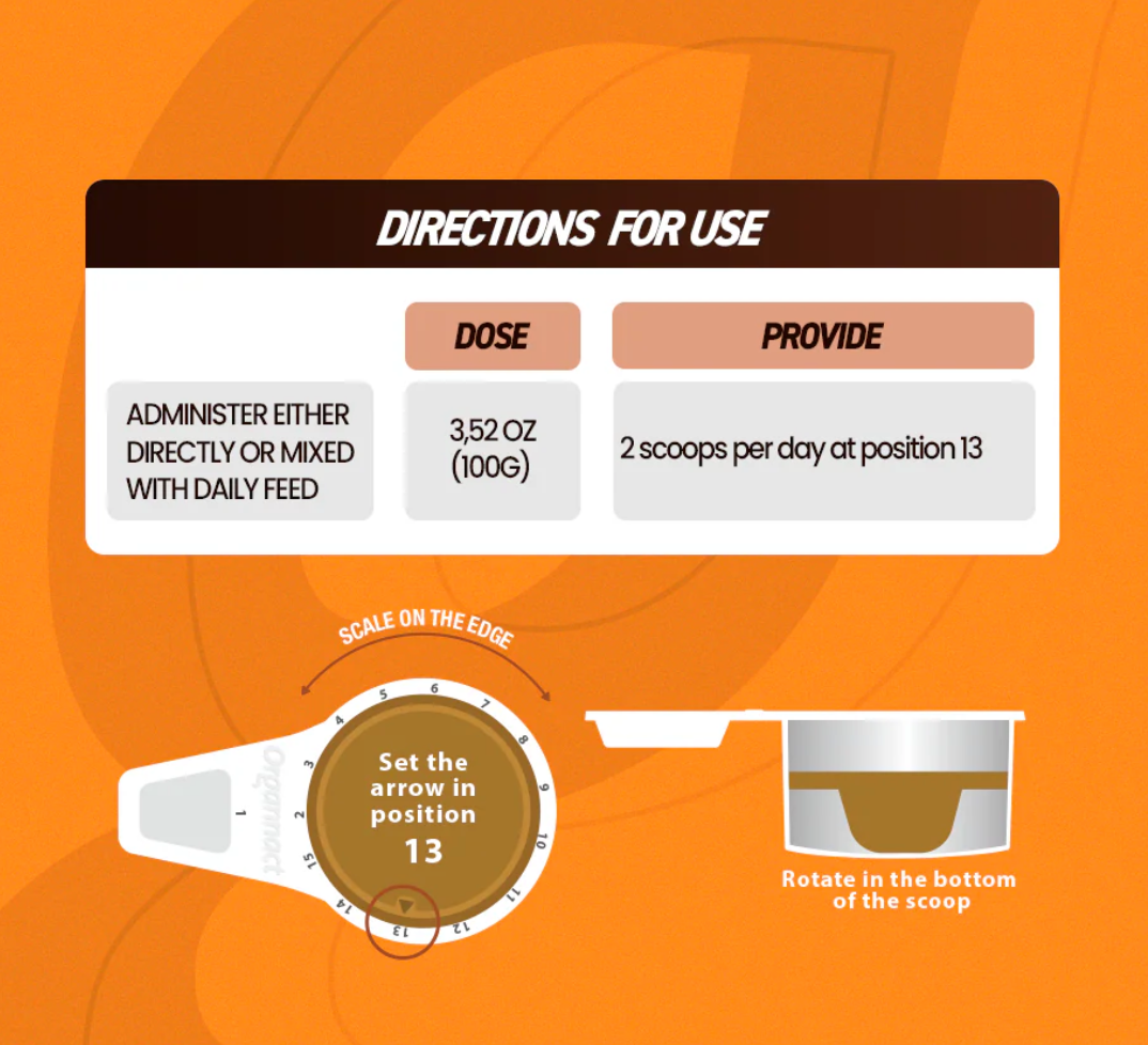 Gest UP Horse Supplement