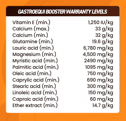 Organnact Gastro Equi Booster