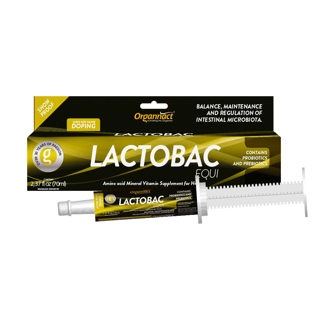 Lactobac Equi – SK Equine Products
