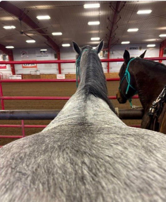 SK Angle Pro - Virtual Fit